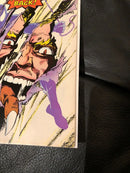 SPECTACULAR SPIDER-MAN