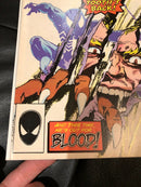 SPECTACULAR SPIDER-MAN