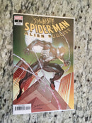 Symbiote Spider-man Alien Reality