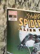 Symbiote Spider-man Alien Reality